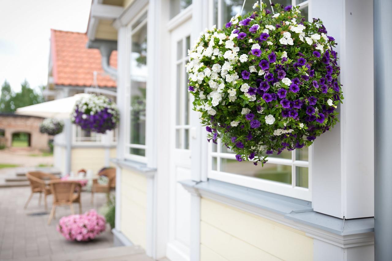 Botique & Spa Hotel Berkenes Manor Ziedkalne Exterior photo